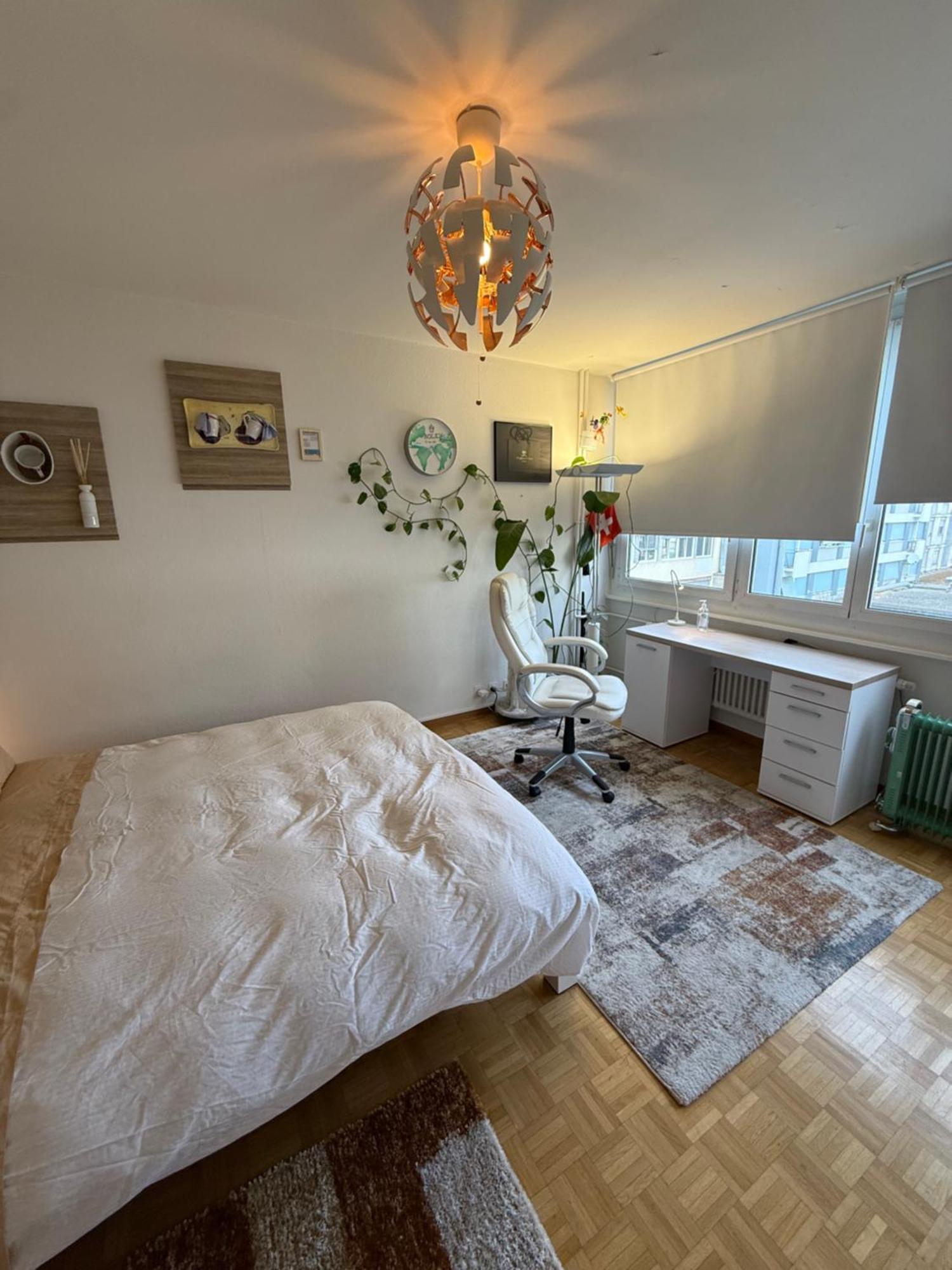 1,5 Geneve Apartamento