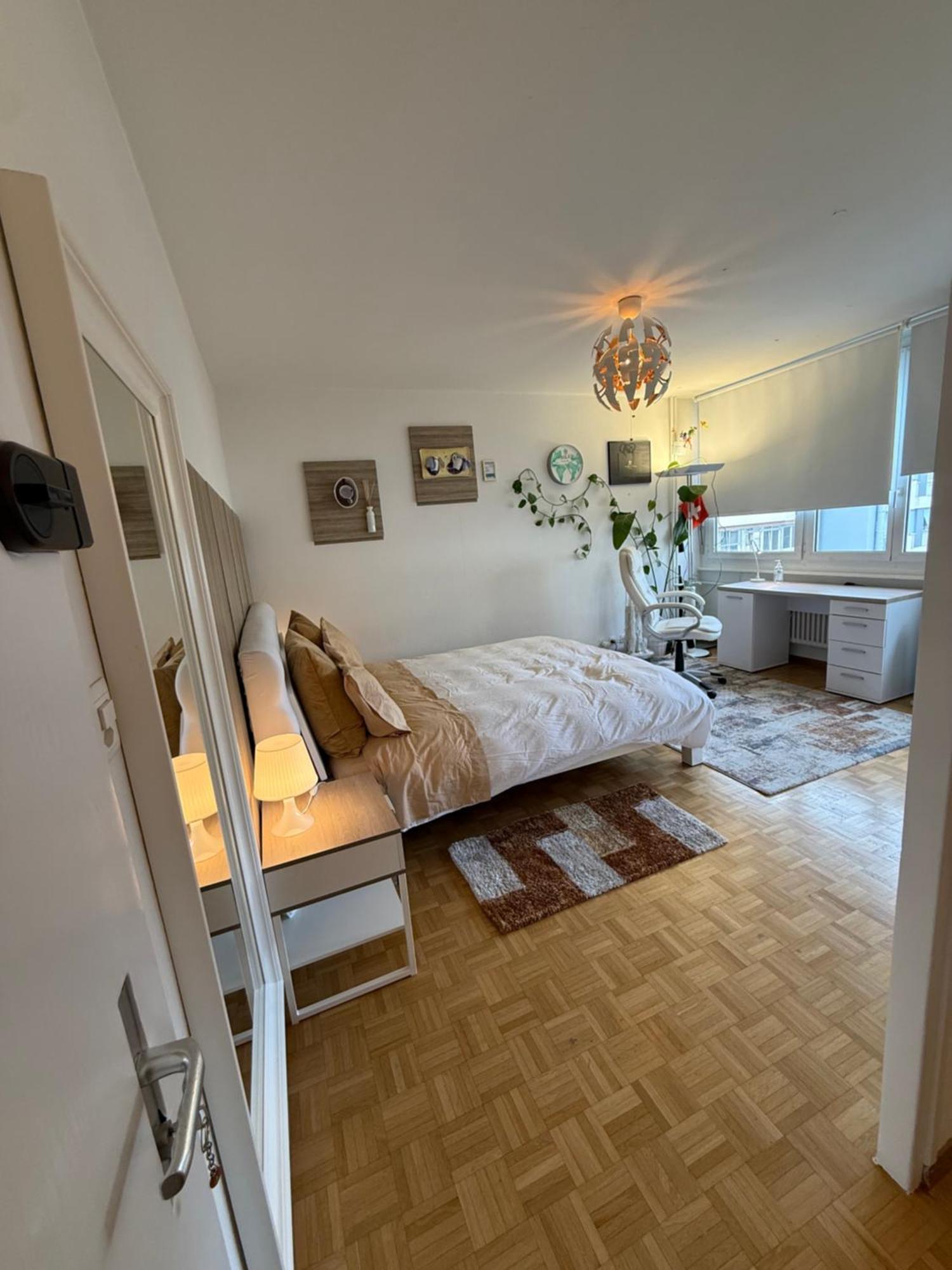 Apartamento 1,5 Geneve Ginebra
