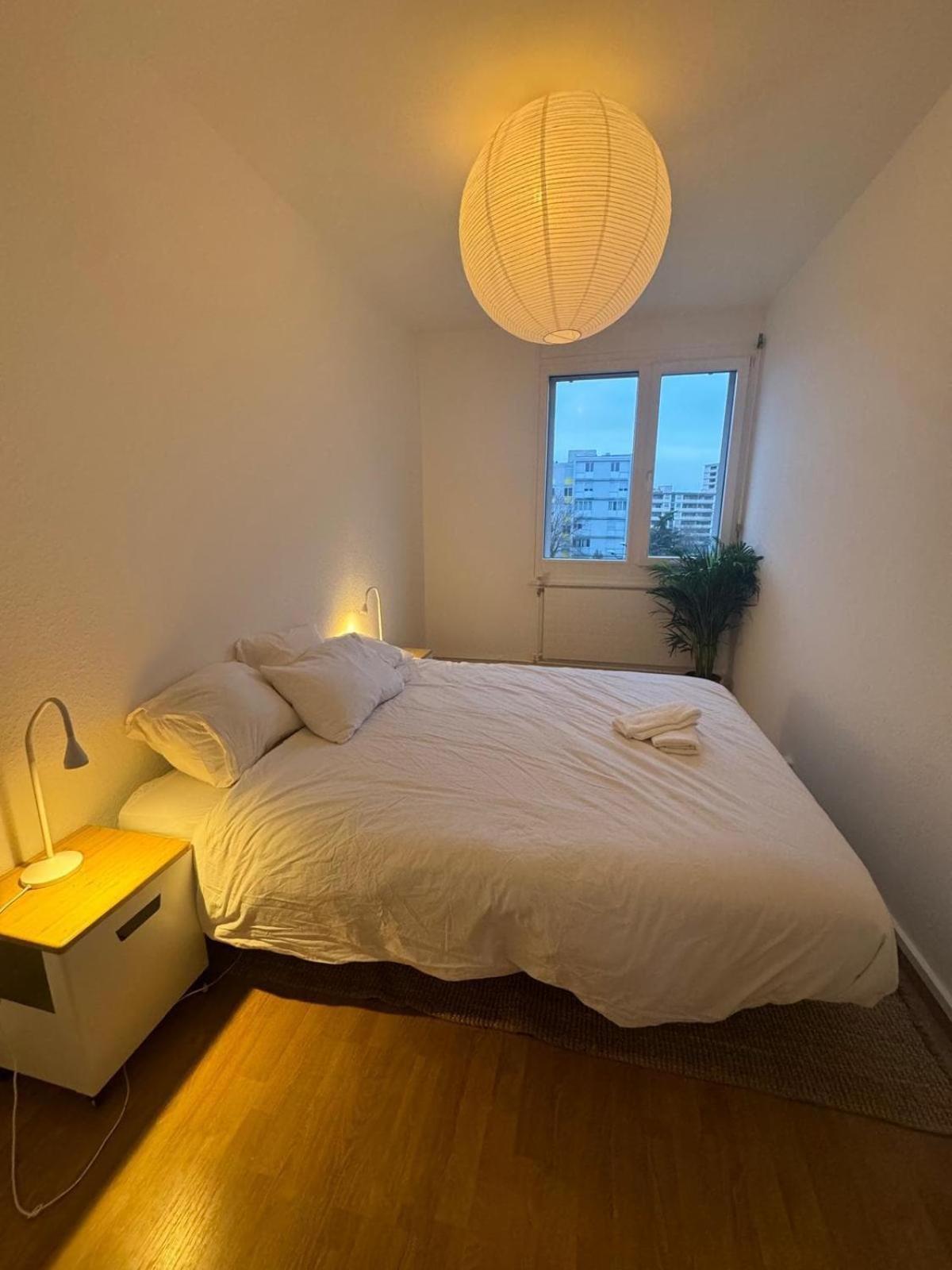 Spacious 3 Bedroom Duplex, Netflix, Remote Work * Genève