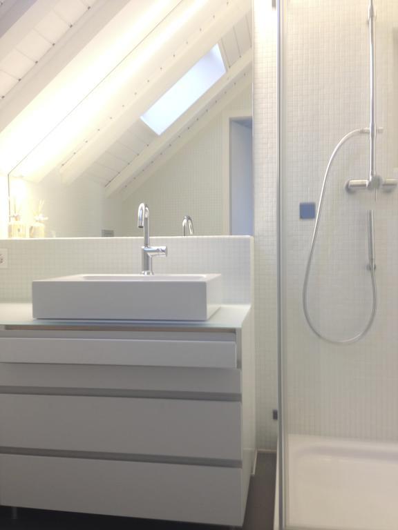 Carouge Loft Apartment Geneva