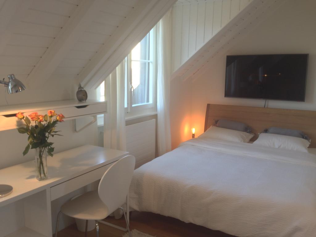 Carouge Loft Apartment *