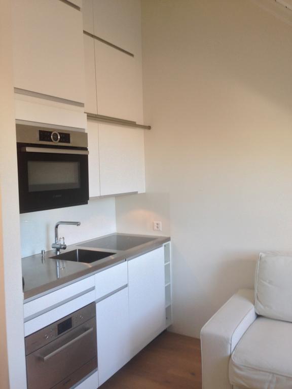 Apartment Carouge Loft