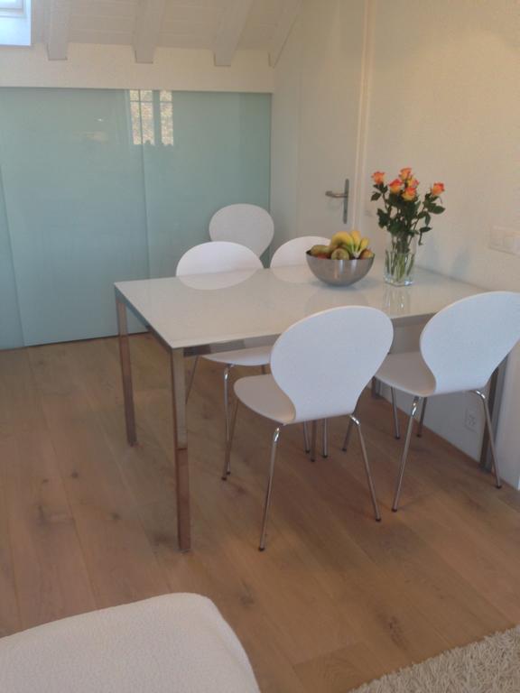 Carouge Loft Apartment *