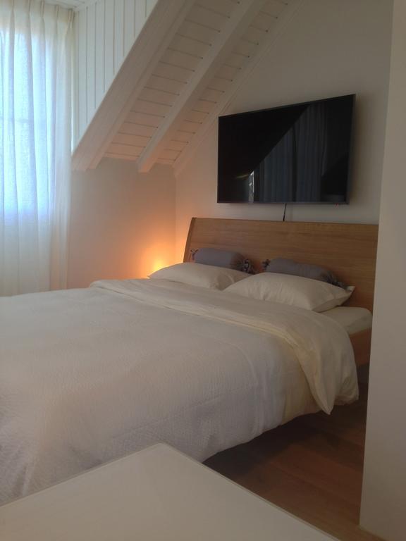 Carouge Loft * Geneva