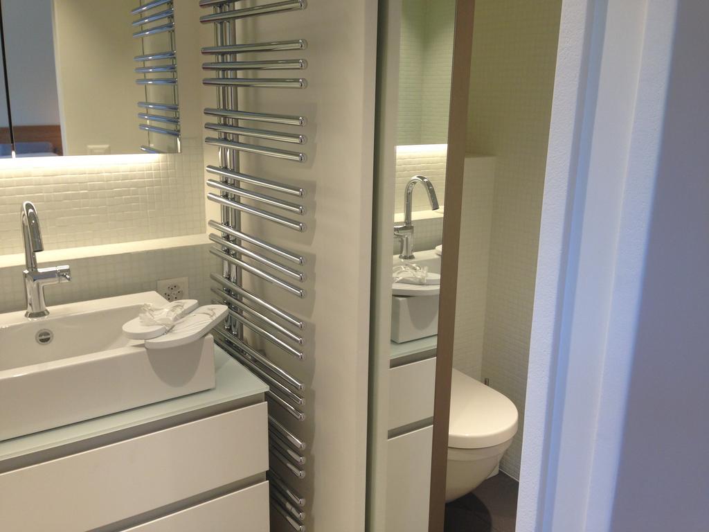 Carouge Loft Geneva