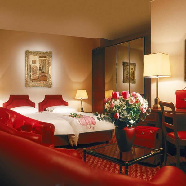 Hotel Ibis Centre Nations 3*