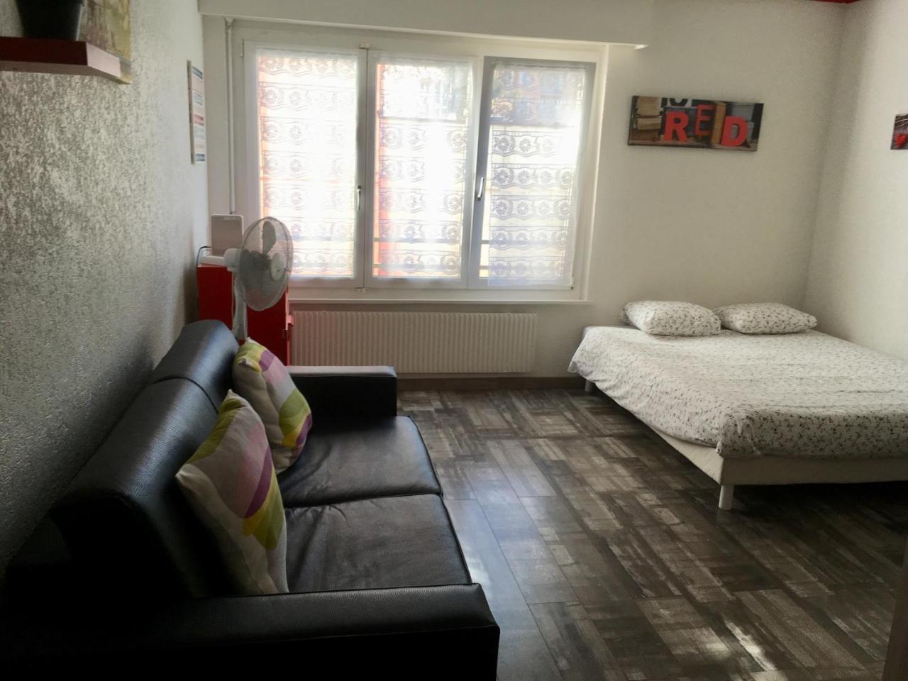 Apartment De Lux Confort 2 Geneva