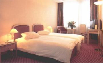 Ibis Centre Nations 3* Genf