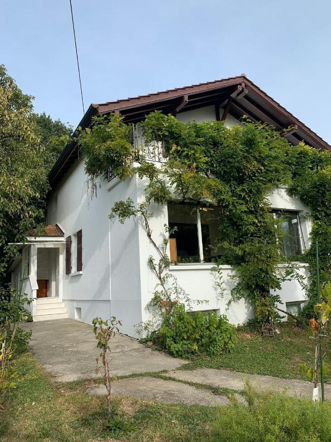 Le Grand-saconnex Guesthouse, 5 Min Walk To Airport Appart hôtel