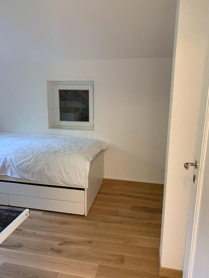 Le Grand-saconnex Guesthouse, 5 Min Walk To Airport *
