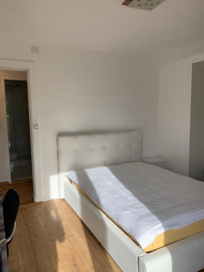 Le Grand-saconnex Guesthouse, 5 Min Walk To Airport *