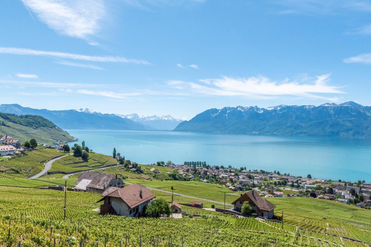 Swiss Luxury 5*