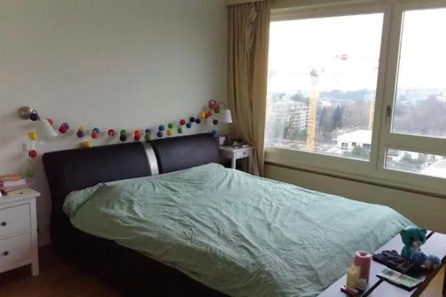 Central Furnished 2br In Appartement Genève