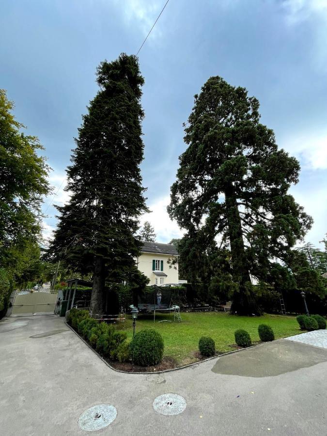 Résidence Mont-blanc