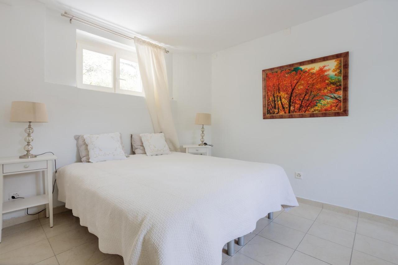 Résidence Mont-blanc Appartement Genève