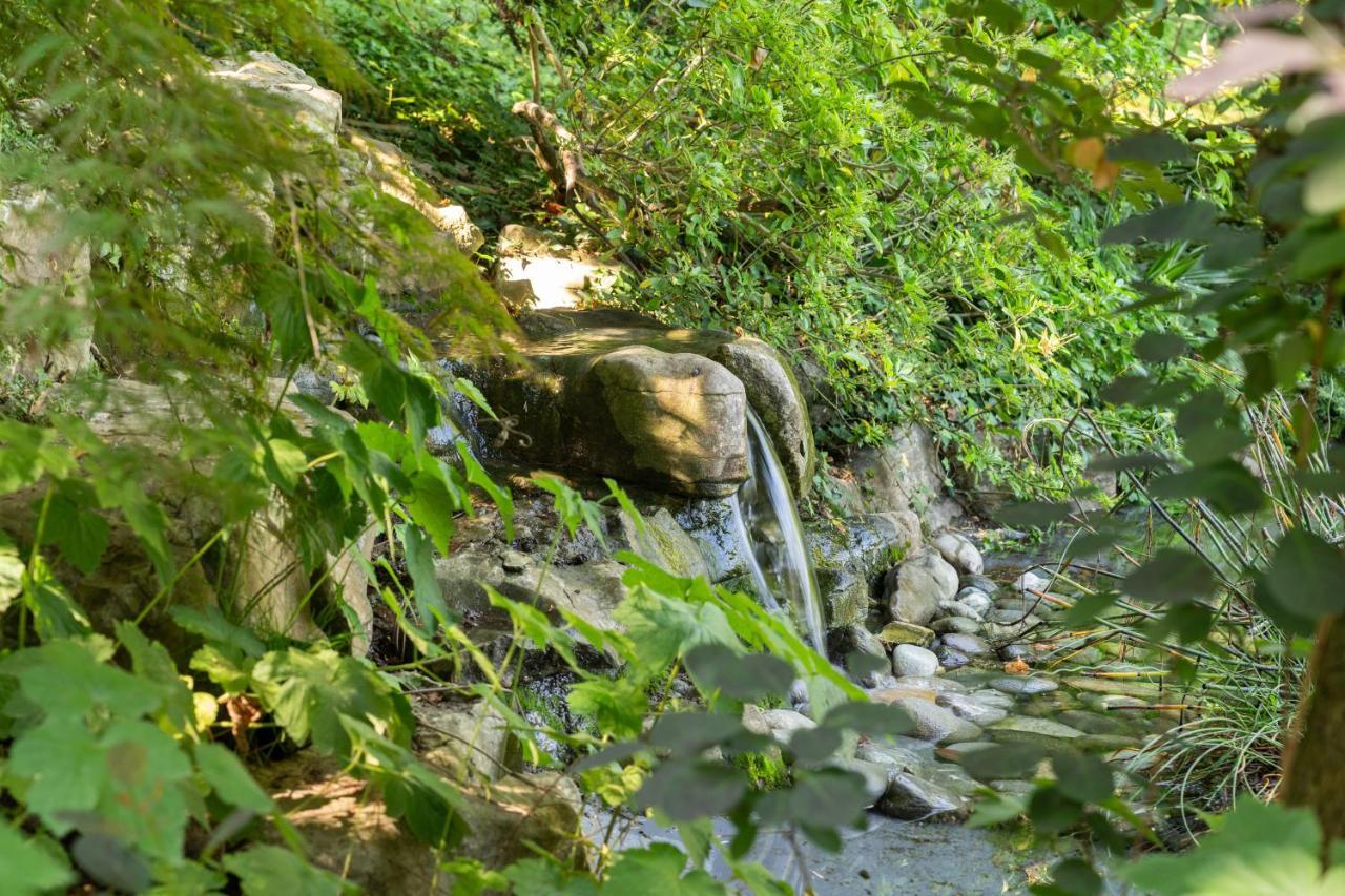 Park - Swiss *