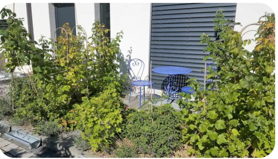 Studio, Entree Par Terrasse Couette-café *