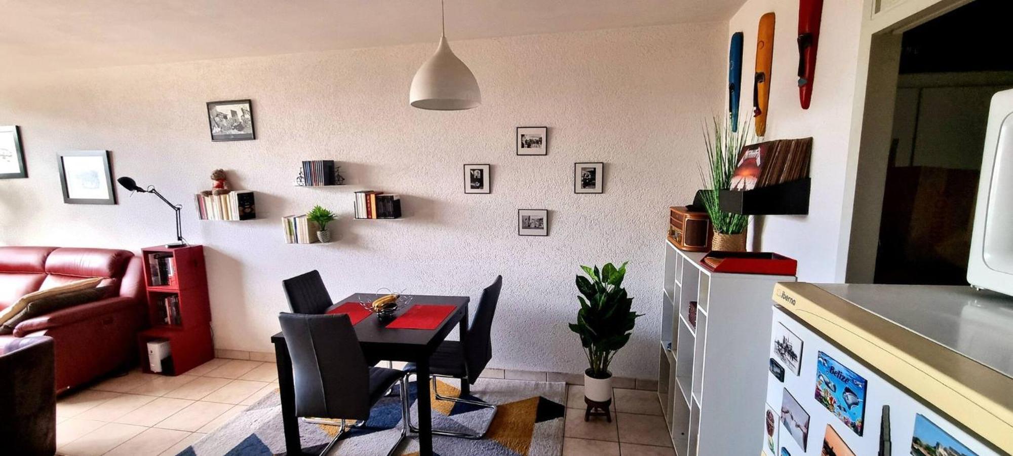 Very Bright In The Center Of The Appartement Genève