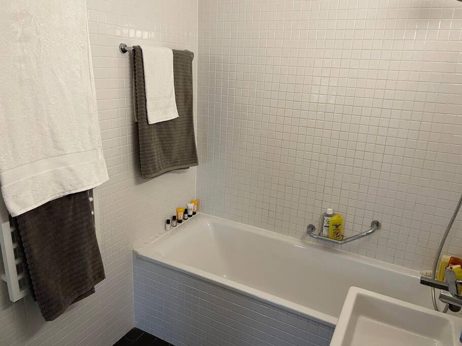 Rive Rhone Flat Appartement Genève
