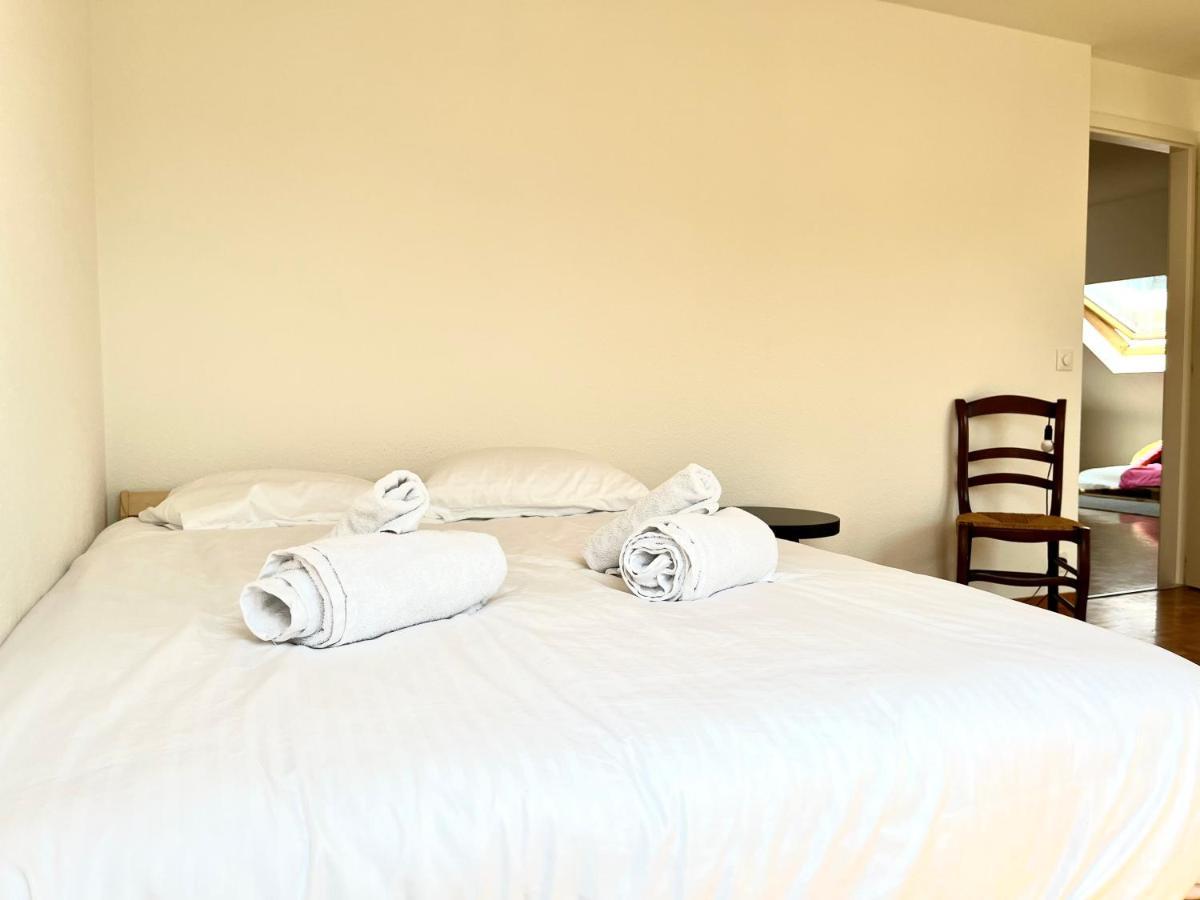 Family Loft For 7, In Geneva, 5min From Appartement