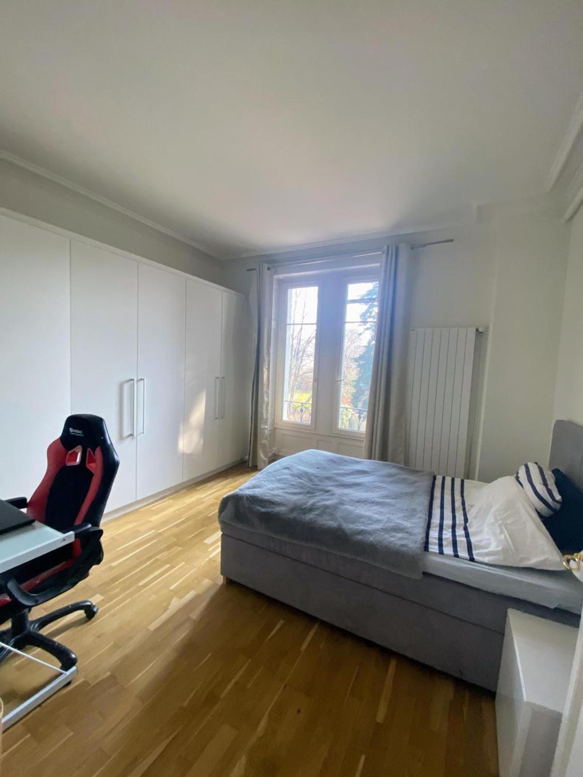 Montblanc Duplex Avec Jacuzzi * Genève