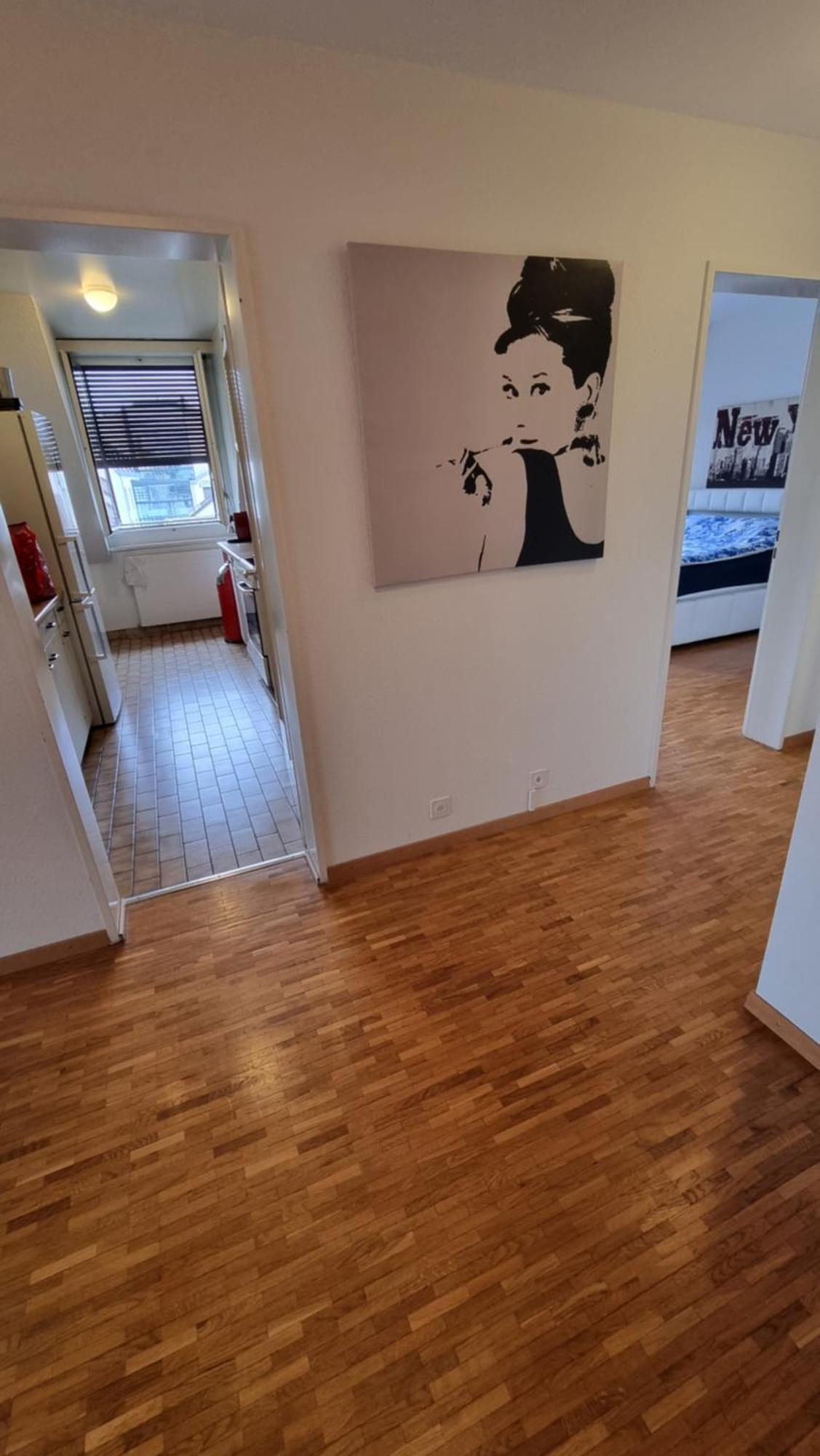 Blue-lake View Apartment Geneva